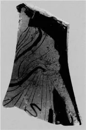 KRATER, CALYX, FRAGMENT (ATHENIAN, RED-FIGURE)