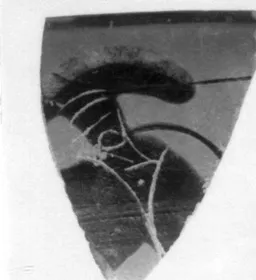 CUP, FRAGMENT (ATHENIAN, BLACK-FIGURE)