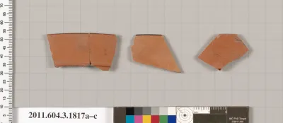 Terracotta rim fragments of kylikes: Lip cup (drinking cup)