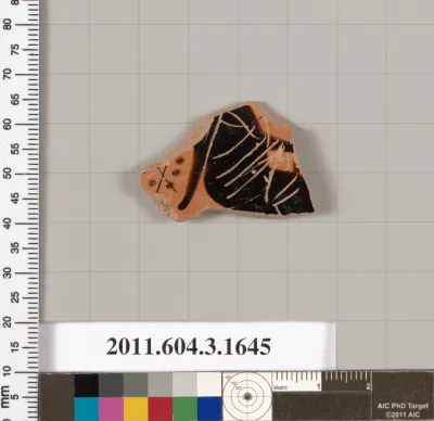 Terracotta fragment of a kylix: Band cup (drinking cup)