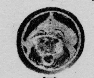 CUP (ATHENIAN, BLACK-FIGURE)