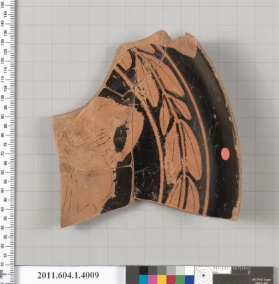 Terracotta fragment of a kylix (drinking cup)