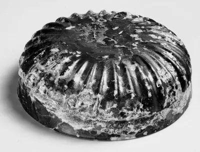 Schale (Rippenschale)