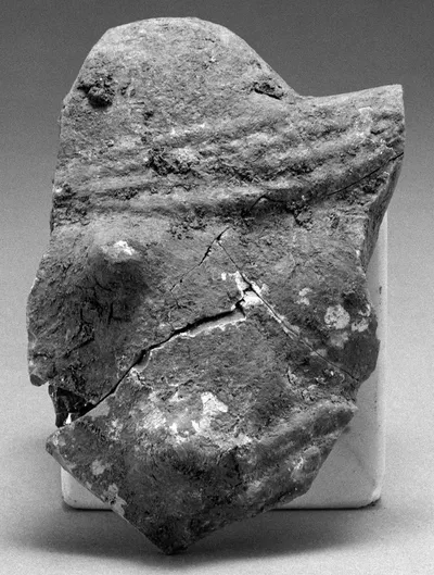 Fragment of a Female Torso