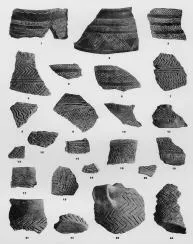 VARIOUS (VUCEDOL)