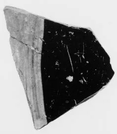 SKYPHOS, FRAGMENT (FALISCAN, PSEUDO RED-FIGURE)