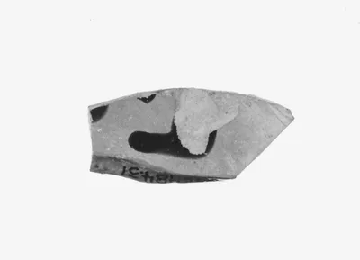 Attic Black-Figure Cup Fragment