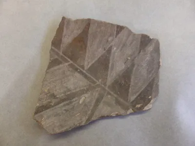 vase ; fragment