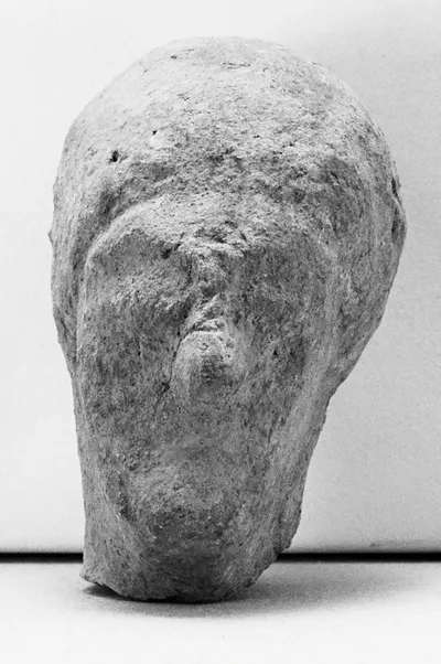 Male Head