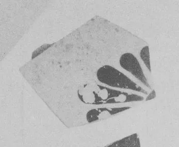AMPHORA, NECK, FRAGMENT (ATHENIAN, BLACK-FIGURE)