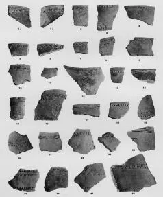 VARIOUS (VUCEDOL)