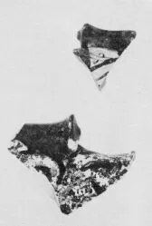 OINOCHOE, FRAGMENT (FALISCAN, RED-FIGURE)