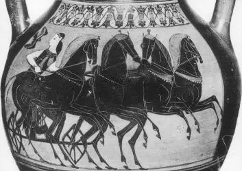AMPHORA, BELLY, TYPE B (ATHENIAN, BLACK-FIGURE)