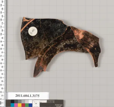 Terracotta fragment of a kylix (drinking cup)