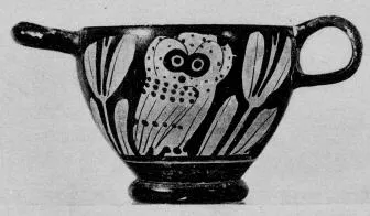 SKYPHOS (ATHENIAN, RED-FIGURE)