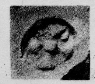 CUP, STEMLESS, FRAGMENT (SOUTH ITALIAN, CAMPANIAN, RELIEF)