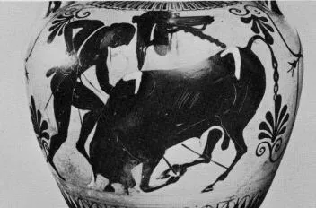 AMPHORA, NECK (ATHENIAN, BLACK-FIGURE)