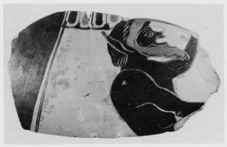 AMPHORA, BELLY, FRAGMENT (ATHENIAN, BLACK-FIGURE)