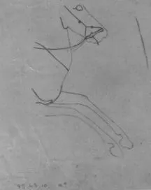 AMPHORA, BELLY, FRAGMENT (ATHENIAN, BLACK-FIGURE)