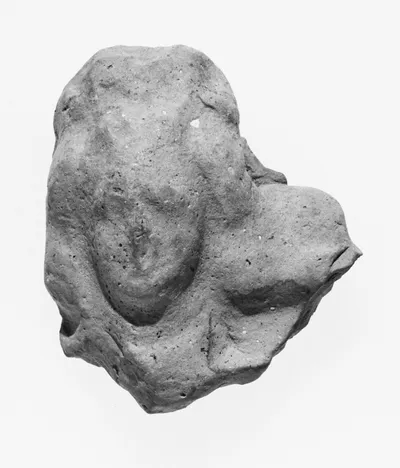 Female Head