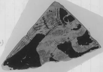 LEKANIS, FRAGMENT (ATHENIAN, RED-FIGURE)