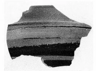 CUP, FRAGMENT (EAST GREEK)