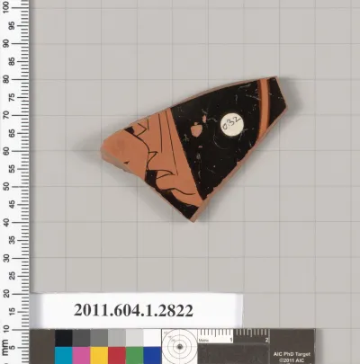 Terracotta fragment of a kylix (drinking cup)