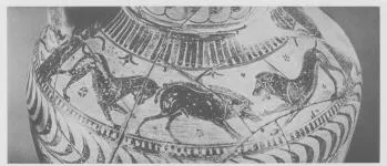 AMPHORA, NECK (EAST GREEK, FIKELLURA)