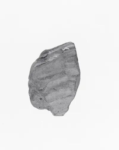 Fragment of a Figurine (?)
