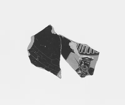 Attic Black-Figure Hydria Fragment