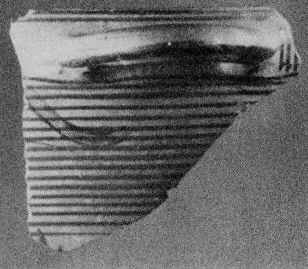 SKYPHOS, FRAGMENT (CORINTHIAN)