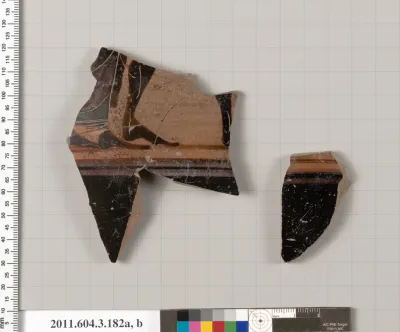 Terracotta fragments of an amphora (jar)