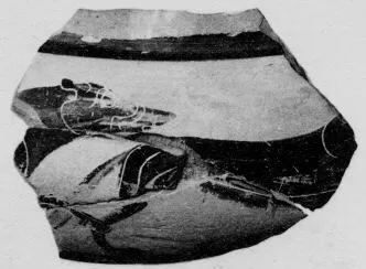 FRAGMENT (PROTOATTIC, BLACK-FIGURE)