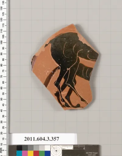 Terracotta fragment of a neck-amphora (jar)