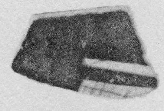 CUP, FRAGMENT (ATHENIAN, RED-FIGURE)