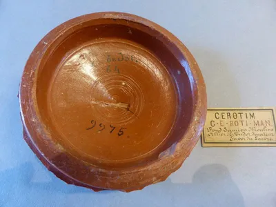 vase ; fragment