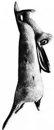 FIGURE VASE (EAST GREEK)