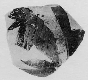AMPHORA, BELLY, FRAGMENT (ATHENIAN, BLACK-FIGURE)