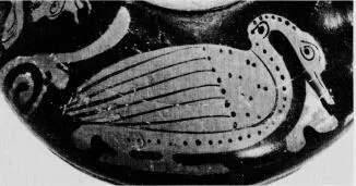 ASKOS (ATHENIAN, RED-FIGURE)