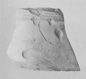SITULA, FRAGMENT (EAST GREEK, BLACK-FIGURE)