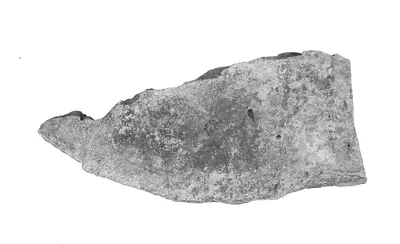 Burned Plate or Dish Fragment