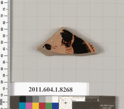 Terracotta fragment of a kylix (drinking cup)