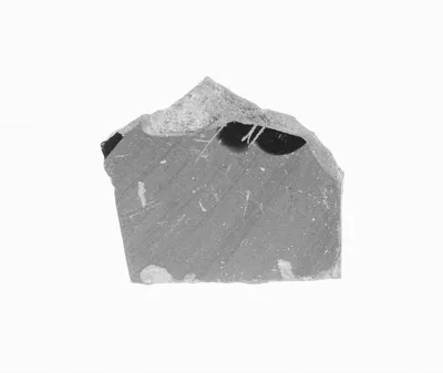 Attic Black-Figure Vase Fragment