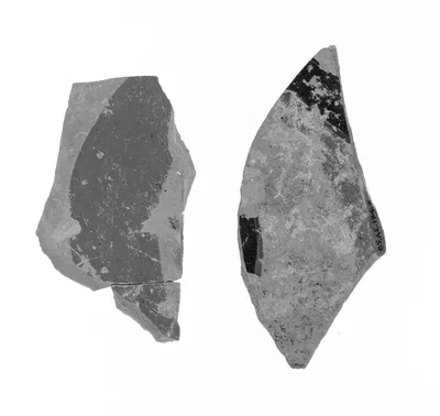 Attic Black-Figure Dinos Fragment