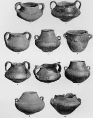 VARIOUS (DALJ)