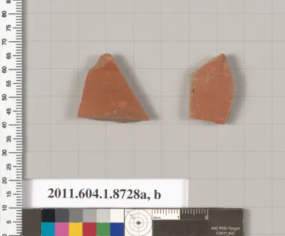 Terracotta fragments of kylikes (drinking cups)?