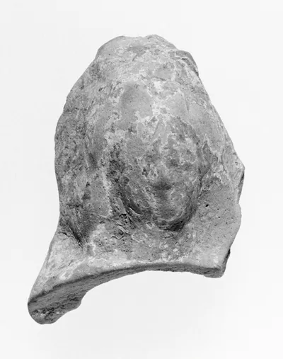 Female Head