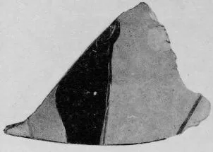 AMPHORA, PANATHENAIC PRIZE, FRAGMENT (ATHENIAN, BLACK-FIGURE)