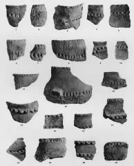 VARIOUS (VUCEDOL)