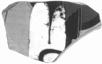 AMPHORA, BELLY, FRAGMENT (ATHENIAN, BLACK-FIGURE)